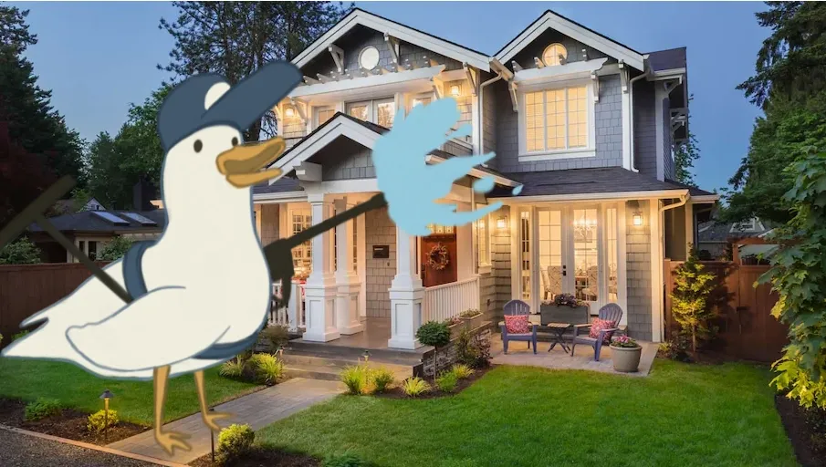 Happy Duck Exteriors is Illinois leading provider of window washing and gutter cleaning